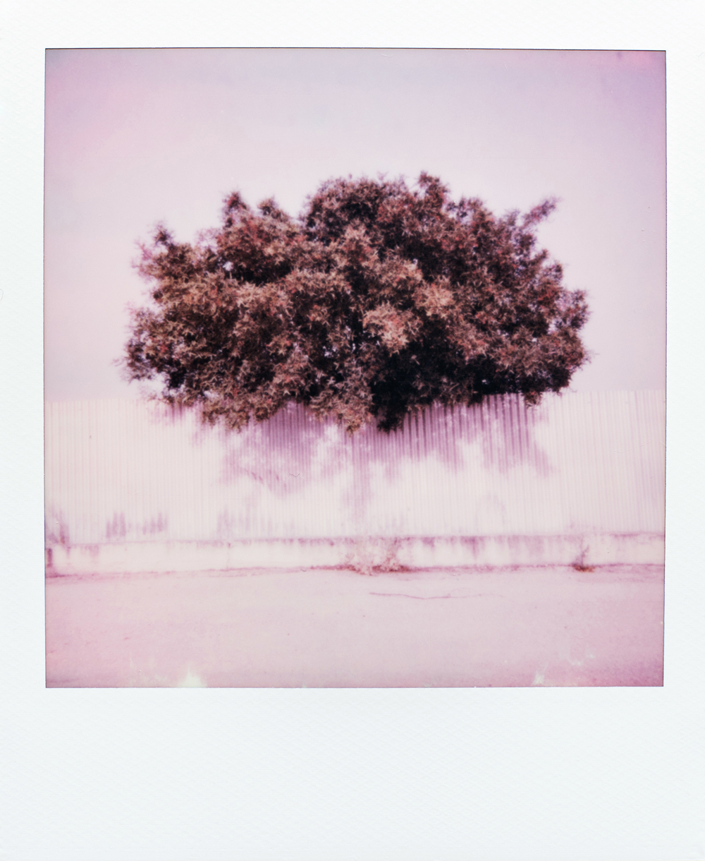 outside the box 01 photo by © karol jarek (5)